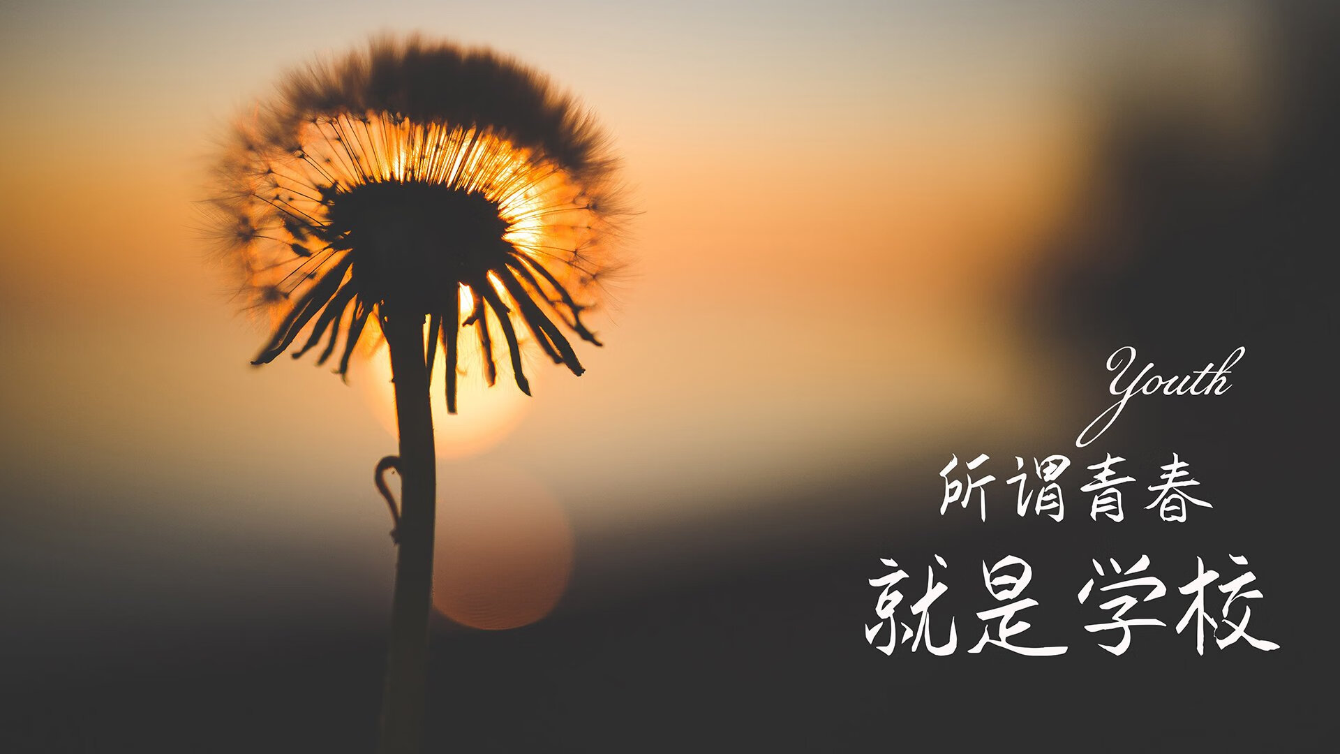 德赢体育官网-世界铁人三项倒计时赛，速度、耐力与毅力的极致展示，世界铁人三项标准