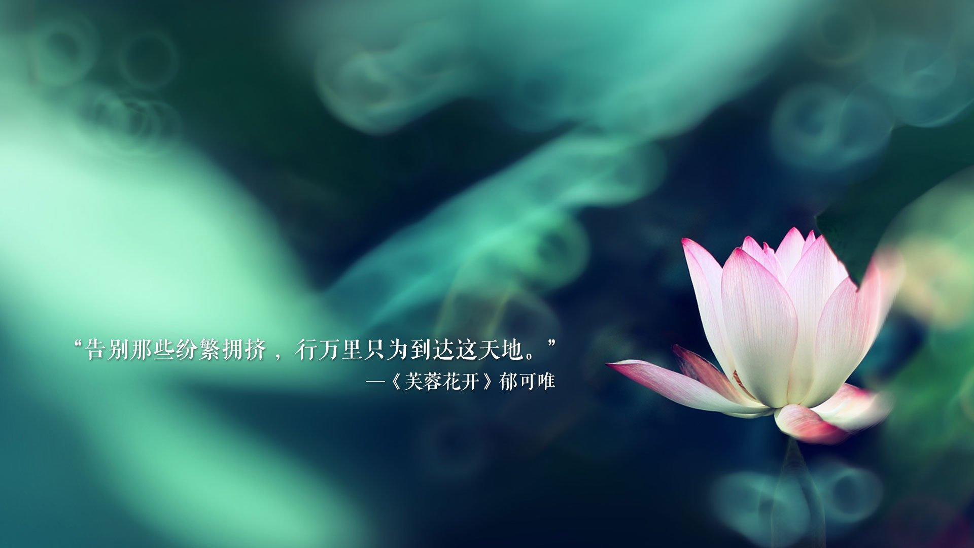德赢中国官网-北京国安备战重要联赛比赛，北京国安在哪比赛