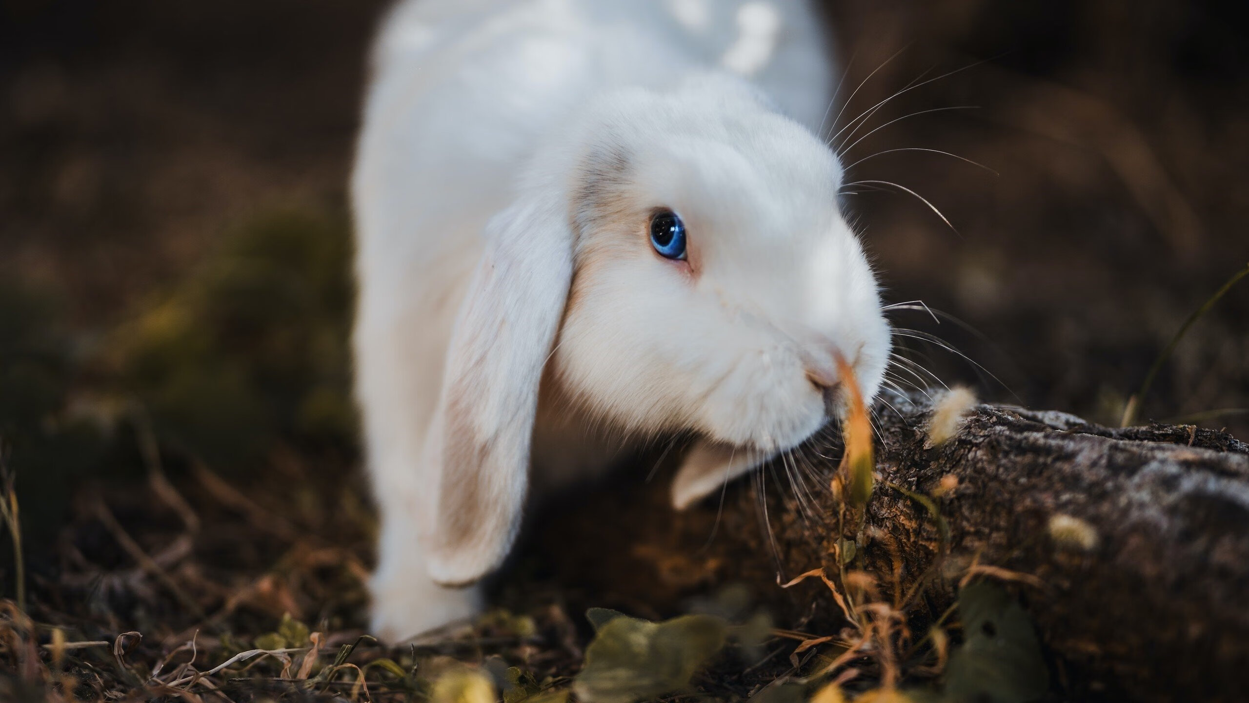 世界杯预选赛U23国足夺冠 球迷信心回归，世界杯预选赛国足出线