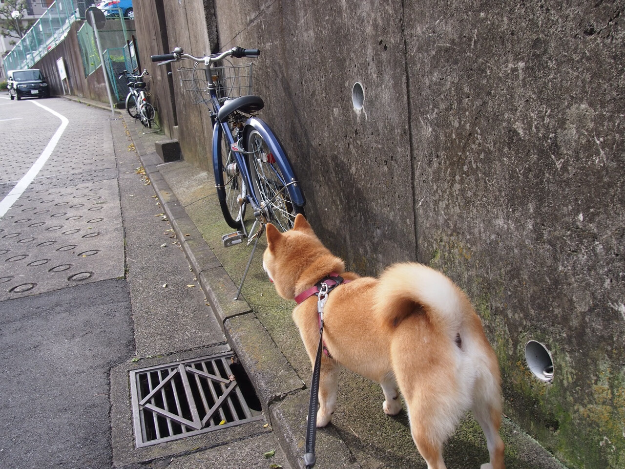 VWIN(china)官方网站-火箭训练场安装智能检测设备监测状态，火箭检测站
